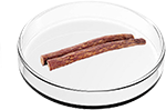 Licorice Root Extract